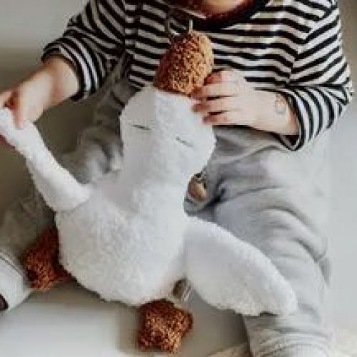 Doudou oie