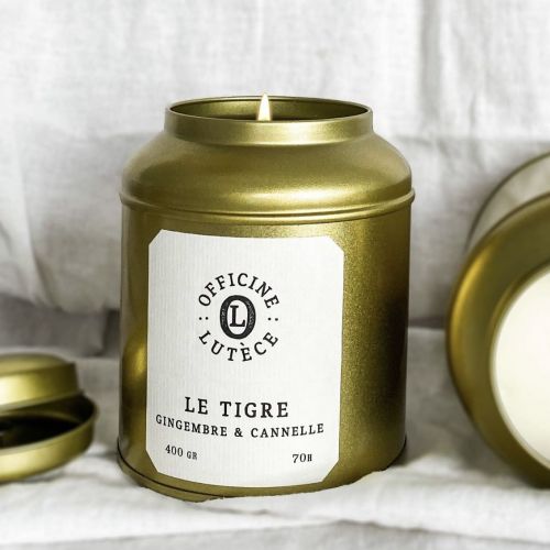 Bougie Parfumée Gingembre & Cannelle 